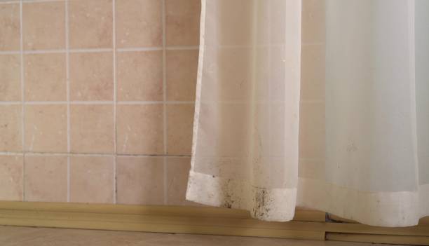 Best Residential Mold Inspection & Testing  in Butte, AK
