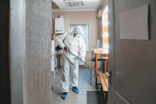 Best Commercial Mold Inspection  in Butte, AK