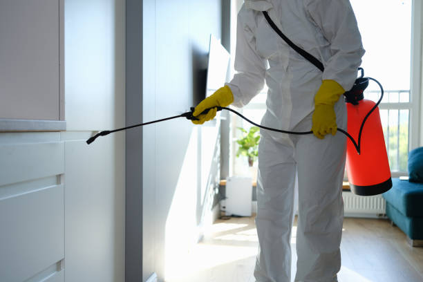 Best Mold Remediation for Healthcare Facilities  in Butte, AK