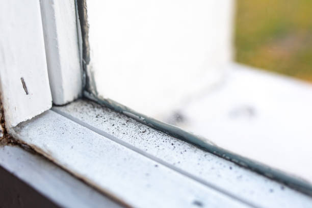 Best Crawl Space Mold Remediation  in Butte, AK