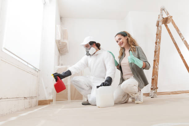 Mold Documentation for Insurance Claims in Butte, AK