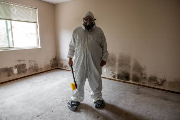 Best Emergency Mold Remediation  in Butte, AK