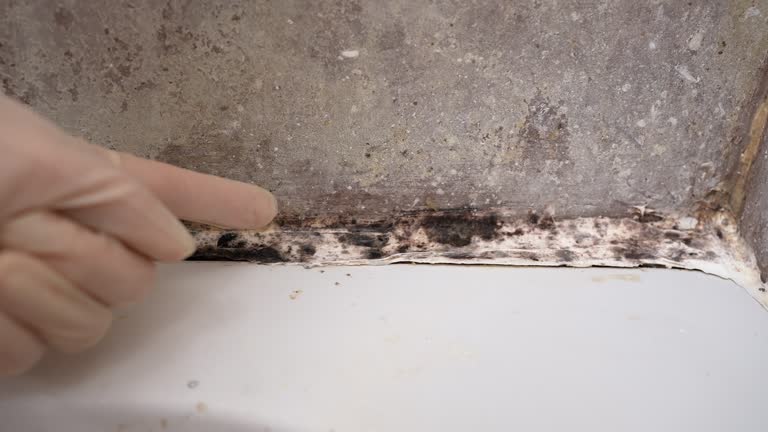 Best HVAC Mold Inspection and Cleaning  in Butte, AK